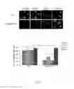 Fig. 03 - RNA products and uses thereof