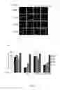 Fig. 08 - RNA products and uses thereof