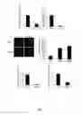 Fig. 13 - RNA products and uses thereof