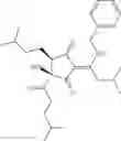 Fig. 12 - Tetrahydro-isohumulone derivatives, methods of making and using
