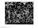 Fig. 01 - METHOD TO ENHANCE CELL NUCLEATION DENSITY IN SOLID-STATE FOAMS