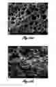 Fig. 08 - METHOD TO ENHANCE CELL NUCLEATION DENSITY IN SOLID-STATE FOAMS