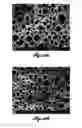 Fig. 09 - METHOD TO ENHANCE CELL NUCLEATION DENSITY IN SOLID-STATE FOAMS