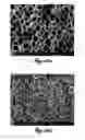 Fig. 10 - METHOD TO ENHANCE CELL NUCLEATION DENSITY IN SOLID-STATE FOAMS
