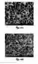 Fig. 11 - METHOD TO ENHANCE CELL NUCLEATION DENSITY IN SOLID-STATE FOAMS