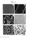 Fig. 08 - METHOD OF MANUFACTURING COMPOSITE MATERIAL HAVING NANO STRUCTURE GROWN ON CARBON FIBER AND COMPOSITE MATERIAL HAVING NANO STRUCTURE MANUFACTURED USING THE SAME