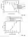 Fig. 07 - Stabilized p53 peptides and uses thereof