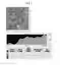 Fig. 06 - Catalyst for organic reaction and method of use thereof