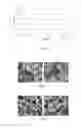Fig. 03 - Synthesis of crystalline molecular sieves having the EUO framework type
