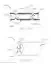 Fig. 24 - INTRAVASCULAR DEVICE ATTACHMENT SYSTEM HAVING BIOLOGICAL MATERIAL