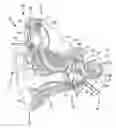 Fig. 01 - Alternate stimulation strategies for perception of speech
