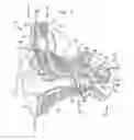 Fig. 02 - Alternate stimulation strategies for perception of speech