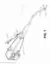 Fig. 02 - Balloon access device with features for engaging an endoscope