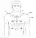 Fig. 01 - Garment