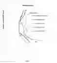 Fig. 09 - NON-INVASIVE EVALUATION OF FIT AND SIZING OF DEVICE PRIOR TO IMPLANT