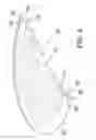 Fig. 05 - Delivering ocular implants into the eye