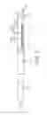 Fig. 02 - Reentry catheter and method thereof