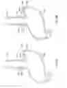 Fig. 18 - System and methods for electrical stimulation of biological systems