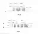 Fig. 16 - Implantable neurostimulator-implemented method utilizing multi-modal stimulation parameters