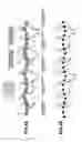 Fig. 04 - Training supporting apparatus and system for supporting training of walking and/or running