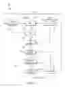 Fig. 07 - Method for gait generation and tracking control for a bipedal walking robot