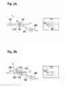 Fig. 03 - Method and device for ascertaining a height profile of a road situated ahead of a vehicle