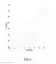 Fig. 08 - Digital compensation for antenna load mismatch