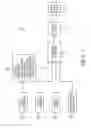 Fig. 06 - Development of dynamic business data for marketing to moving spatiotemporal phenomena and events