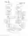 Fig. 16 - GUARANTY PROVISIONING VIA SOCIAL NETWORKING