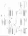 Fig. 06 - Dynamic Card Verification Values and Credit Transactions