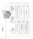 Fig. 07 - NON-COMPLIANT PAYMENT CAPTURE SYSTEMS AND METHODS