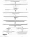 Fig. 08 - DATA LIFTING FOR STOP PAYMENT REQUESTS