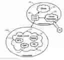 Fig. 01 - Cloud federation as a service
