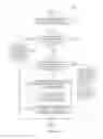 Fig. 04 - DNS-assisted application identification