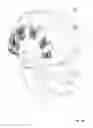Fig. 22 - HELMET