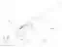 Fig. 01 - Adjustable firearm support
