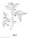 Fig. 02 - Method and apparatus for selective photomorphogenesis in plants