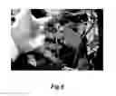 Fig. 10 - Method and apparatus for selective photomorphogenesis in plants