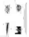 Fig. 08 - Thermoelectric string, panel, and covers for function and durability