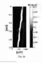 Fig. 06 - OPTICAL FIBER FOR GENERATING BESSEL BEAM AND OPTICAL IMAGING DEVICE USING SAME