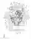 Fig. 02 - Bent axis type axial piston motor