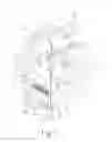Fig. 02 - Automatic stir-fryer