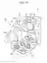 Fig. 09 - Coolant passage structure for internal combustion engine