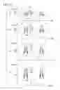 Fig. 12 - Ignition control device and ignition control method