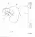 Fig. 09 - Method and apparatus for portable fluid delivery for animals