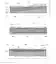 Fig. 01 - Cushioning devices with internal shear absorbing layer