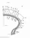 Fig. 02 - Off-road pneumatic tire