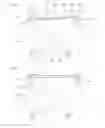 Fig. 02 - Device and method for covering false-wall panels with a restoration device