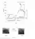 Fig. 06 - Carbon composites, methods of manufacture, and uses thereof