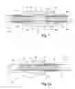 Fig. 02 - Device comprising a space charge trapping layer